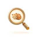 Encuentra tu compañero